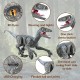 Dinosaure Telecommandé Enfant 2,4 Ghz Dinosaure Jouet Réaliste pour Garçons Filles Robot Dinosaure avec Rugissement de Marche et Lumière LED Gris - B14HKHQXK