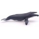 Papo Figurines A Collectionner Baleine A Bosse Animaux De La Mer – Univers Marin Convient aux Enfants Filles Et Garçons A Partir De 3 Ans - B415AVDTN
