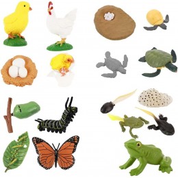 STOBOK Lot de 4 figurines de cycle de papillons de grenouilles de tortues de ferme d'animaux Figurines d'insectes de croissance pour enfants et d'apprentissage. - BDAHKRGQJ