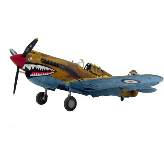 JHSHENGSHI Kits de modèles de Puzzle de Combattant Militaire modèle en Plastique Curtiss P-40B Warhawk Tomahawk MKIIA à l'échelle 1 48 11,9 Pouces X 14,1 Pouces - BWD5WYRVY