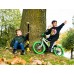 Amigo Sports Vélo Enfant pour garçons 14 Pouces avec Frein à Main Frein à rétropédalage Sonnette de vélo et stabilisateurs vélo à partir de 3-4 Ans Gris Vert - BJAN7LWOF