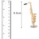 Perfeclan 1:12 Mini Saxophone Modèle avec étui Mini Alto Saxophone Ténor Dollhouse Décor Accessoire pour Home Office Figurines Décoration Ornements - BVJ92INWS