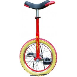 ZSH-dlc 18 Pouces monocycle Freestyle draisienne Seule Roue adapté aux Enfants et aux Adultes Hauteur réglable Cadeau d'anniversaire Cadeau de Noël - B1E2HNTHU