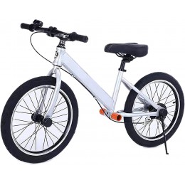 JTYX Draisienne pour adultes et grands enfants avec frein pneus pneumatiques de 45,7 cm grand vélo d'équilibre sans pédale pour garçons et filles avec freins - B9237GMTH