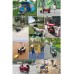 GWXTC Chariot Pliable Chariot Pliant de Jardin Wagon Lourd de Chariot Panier Multifonctions for l'extérieur Camping Plage Tirer Le Camion avec 4 Roues Charge: 75kg Color : Black - B1K5BORBG